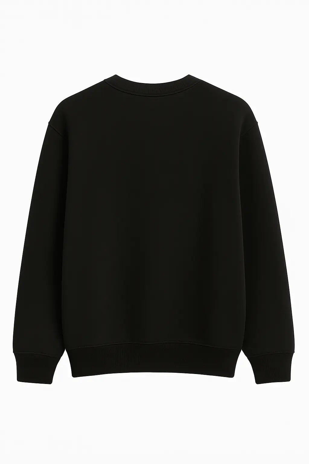 I Made Plans With My Dog Sweatshirt Siyah