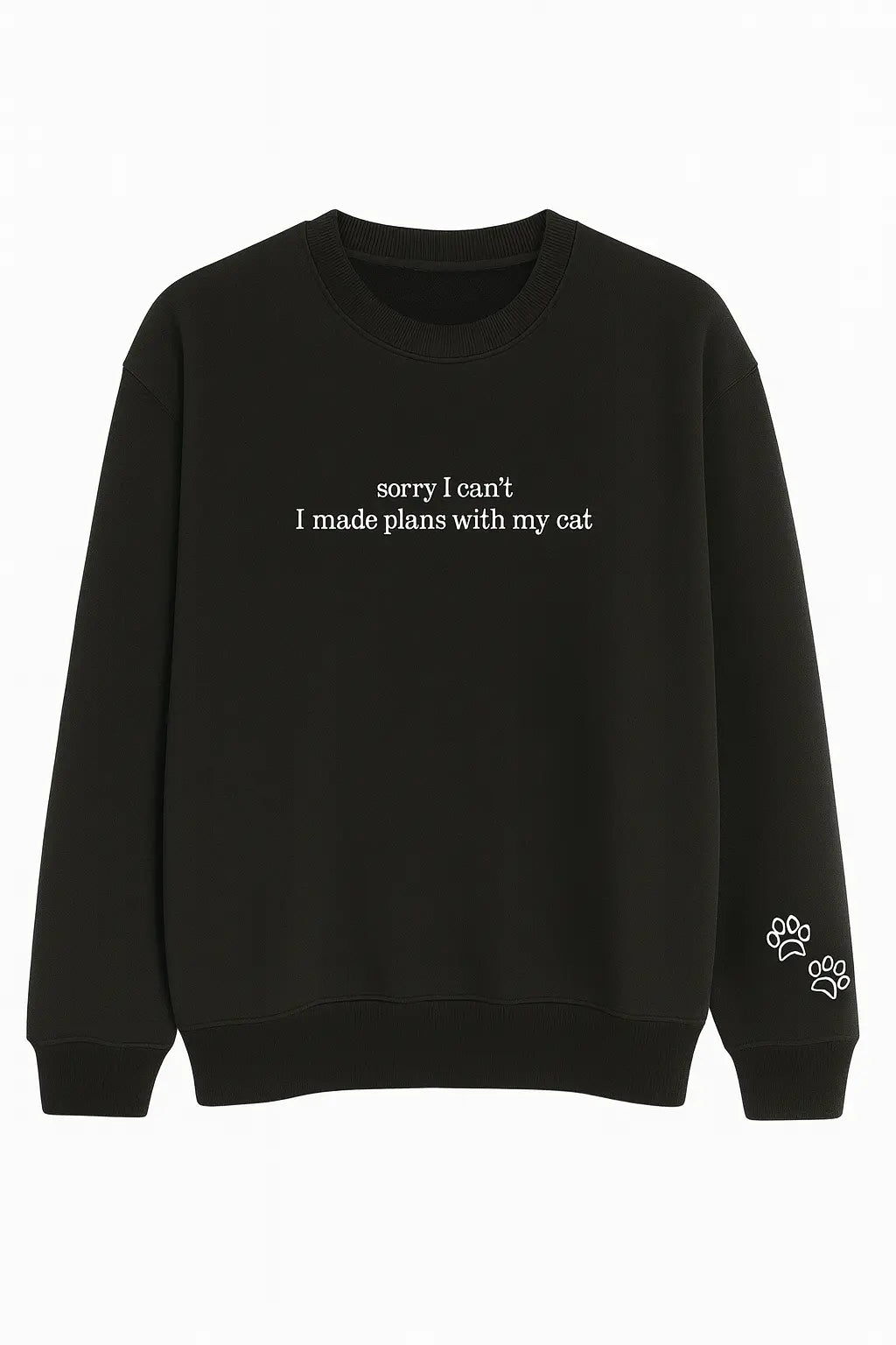 I Made Plans With My Cat Sweatshirt Siyah